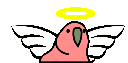 Angelparrot Discord Emoji