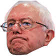 Berniefrown Discord Emoji