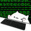 Bongocatcode Discord Emoji