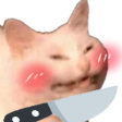 Catblushknife Discord Emoji