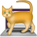 Catonthelaptop Discord Emoji