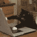 Cattyping Discord Emoji