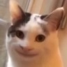 Ceawkwardsmile Discord Emoji