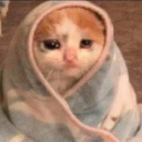 Cecozysadblanket Discord Emoji