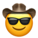 Coolcowboy Discord Emoji