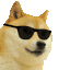 Cooldoge Discord Emoji