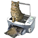Copycat Discord Emoji