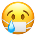 Cryingwithmask Discord Emoji