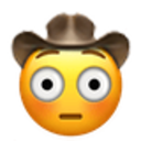 Flushedcowboy Discord Emoji