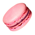 Macaron Discord Emoji
