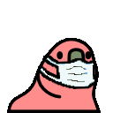 Maskparrot Discord Emoji