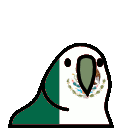 Mexicoparrot Discord Emoji