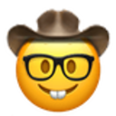 Nerdycowboy Discord Emoji