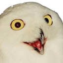 Orly Discord Emoji