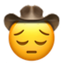 Pensivecowboy Discord Emoji
