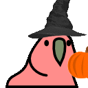 Pumpkinparrot Discord Emoji