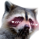Raccoonblush Discord Emoji