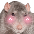 Ratflushed Discord Emoji