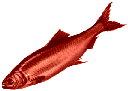 Redherring Discord Emoji