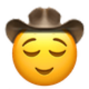 Relievedcowboy Discord Emoji