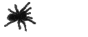 Spidercrawling Discord Emoji