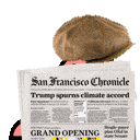 Spyparrot Discord Emoji