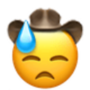 Sweatingcowboy Emoji