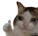 Thumbupcat Discord Emoji