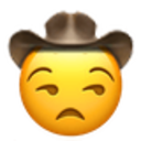 Unamusedcowboy Discord Emoji