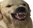 Warface Discord Emoji