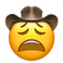 Wearycowboy Discord Emoji