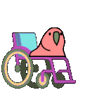 Wheelchairparrot Discord Emoji