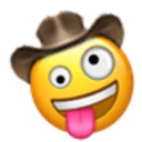 Zanycowboy Discord Emoji
